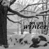 Love Like Winter